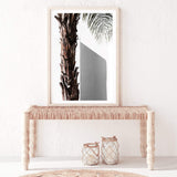 Shaded Palm Tree-The Paper Tree-boho,hamptons,minimalist,neutral,palm,palm frond,palm tree,portrait,premium art print,scandi,tree,wall art,Wall_Art,Wall_Art_Prints,white