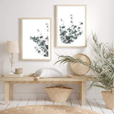 Set of 2 - Eucalyptus Leaves & No.2-The Paper Tree-australian native,botanical,coastal,eucalyptus,eucalyptus leaves,Floral,gift,hamptons,leaf,leaves,native,portrait,premium art print,wall art,Wall_Art,Wall_Art_Prints