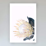 Set of 2 - Yellow Protea & No.2-The Paper Tree-art set,Artwork,Floral,floral artwork,floral print,flower,flower print,flower print sets,flowers,portrait,premium art print,protea,protea artwork,protea flower,protea flowers,protea print,set,wall art,Wall_Art,Wall_Art_Prints,wild flower,wild flowers,yellow,yellow flower