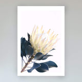 Set of 2 - Yellow Protea & No.2-The Paper Tree-art set,Artwork,Floral,floral artwork,floral print,flower,flower print,flower print sets,flowers,portrait,premium art print,protea,protea artwork,protea flower,protea flowers,protea print,set,wall art,Wall_Art,Wall_Art_Prints,wild flower,wild flowers,yellow,yellow flower