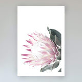 Set of 2 - Dusty Pink Protea & No.2-The Paper Tree-Artwork,dusty pink,Floral,floral print,flower,flower print,flower print sets,flowers,gift,pastel pink,pink,pink flower,pink protea,pink protea flower,portrait,premium art print,protea,protea flower,protea flowers,protea print,wall art,Wall_Art,Wall_Art_Prints,wild flower,wild flowers