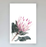 Set of 2 - Dusty Pink Protea & No.2-The Paper Tree-Artwork,dusty pink,Floral,floral print,flower,flower print,flower print sets,flowers,gift,pastel pink,pink,pink flower,pink protea,pink protea flower,portrait,premium art print,protea,protea flower,protea flowers,protea print,wall art,Wall_Art,Wall_Art_Prints,wild flower,wild flowers
