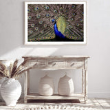 Percy The Peacock-The Paper Tree-animal,animals,Artwork,bird,blue,green,landscape,nature,PEACOCK,premium art print,wall art,Wall_Art,Wall_Art_Prints