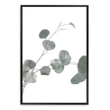 Australian Native Eucalyptus Leaves II-The Paper Tree-australia,australian,australian native,australiana,botanical,eucalyptus,eucalyptus leaves,green,gum,gum leaf,hamptons,leaf,leaves,Muted Eucalyptus Art Print,muted tone,native,portrait,premium art print,wall art,Wall_Art,Wall_Art_Prints