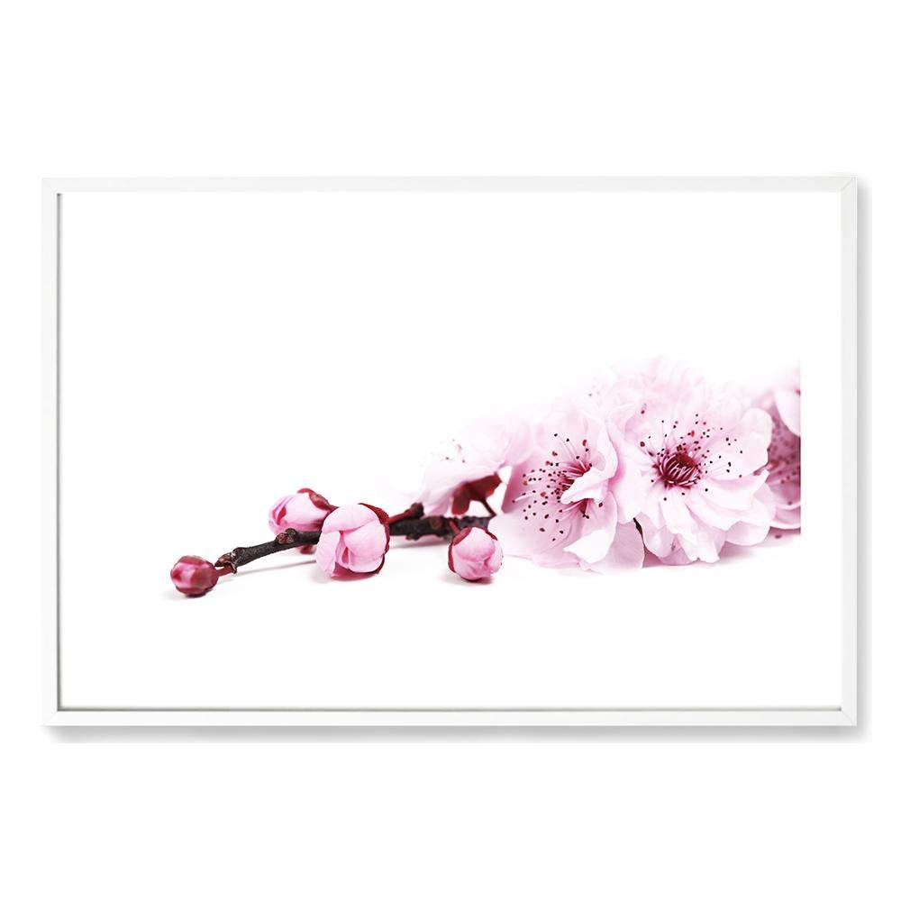 Cherry Blossom II Art Print, Framed Wall Art & Canvas Print – The Paper ...