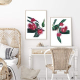 Set of 2 - Eucalyptus Flower & No.2-The Paper Tree-Artwork,australian native,botanical,botanical art print,coastal,eucalyptus,eucalyptus leaves,Floral,flowers,gift,green,leaf,leaves,Muted Eucalyptus Art Print,native,native art print,native flowers,portrait,premium art print,red,red flower,wall art,Wall_Art,Wall_Art_Prints,white,wild flowers
