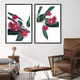 Set of 2 - Eucalyptus Flower & No.2-The Paper Tree-Artwork,australian native,botanical,botanical art print,coastal,eucalyptus,eucalyptus leaves,Floral,flowers,gift,green,leaf,leaves,Muted Eucalyptus Art Print,native,native art print,native flowers,portrait,premium art print,red,red flower,wall art,Wall_Art,Wall_Art_Prints,white,wild flowers