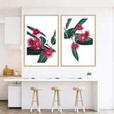 Set of 2 - Eucalyptus Flower & No.2-The Paper Tree-Artwork,australian native,botanical,botanical art print,coastal,eucalyptus,eucalyptus leaves,Floral,flowers,gift,green,leaf,leaves,Muted Eucalyptus Art Print,native,native art print,native flowers,portrait,premium art print,red,red flower,wall art,Wall_Art,Wall_Art_Prints,white,wild flowers