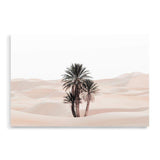 Palms In The Desert-The Paper Tree-boho,botanical,desert,desert palm,desert tree,landscape,moroccan,moroccan desert,morocco,muted tone,nature,neutral,premium art print,sand,sand dunes,wall art,Wall_Art,Wall_Art_Prints