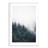 Pine Forest Trees-The Paper Tree-america,australia,botanical,enchanting,forest,green,mist,mountains,nature,pine forest,pine trees,portrait,premium art print,tree,trees,wall art,Wall_Art,Wall_Art_Prints