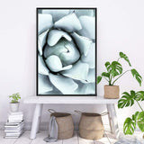 White Succulent-The Paper Tree-botanical,cacti,cactus,hamptons,neutral,portrait,premium art print,spider,succulent,wall art,Wall_Art,Wall_Art_Prints,web,white