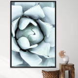 White Succulent-The Paper Tree-botanical,cacti,cactus,hamptons,neutral,portrait,premium art print,spider,succulent,wall art,Wall_Art,Wall_Art_Prints,web,white