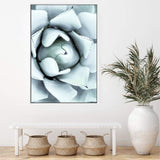 White Succulent-The Paper Tree-botanical,cacti,cactus,hamptons,neutral,portrait,premium art print,spider,succulent,wall art,Wall_Art,Wall_Art_Prints,web,white