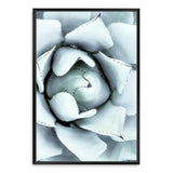 White Succulent-The Paper Tree-botanical,cacti,cactus,hamptons,neutral,portrait,premium art print,spider,succulent,wall art,Wall_Art,Wall_Art_Prints,web,white
