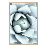 White Succulent-The Paper Tree-botanical,cacti,cactus,hamptons,neutral,portrait,premium art print,spider,succulent,wall art,Wall_Art,Wall_Art_Prints,web,white