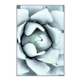 White Succulent-The Paper Tree-botanical,cacti,cactus,hamptons,neutral,portrait,premium art print,spider,succulent,wall art,Wall_Art,Wall_Art_Prints,web,white