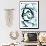White Succulent-The Paper Tree-botanical,cacti,cactus,hamptons,neutral,portrait,premium art print,spider,succulent,wall art,Wall_Art,Wall_Art_Prints,web,white