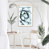 White Succulent-The Paper Tree-botanical,cacti,cactus,hamptons,neutral,portrait,premium art print,spider,succulent,wall art,Wall_Art,Wall_Art_Prints,web,white