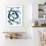 White Succulent-The Paper Tree-botanical,cacti,cactus,hamptons,neutral,portrait,premium art print,spider,succulent,wall art,Wall_Art,Wall_Art_Prints,web,white