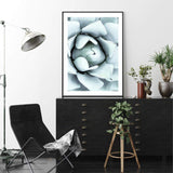 White Succulent-The Paper Tree-botanical,cacti,cactus,hamptons,neutral,portrait,premium art print,spider,succulent,wall art,Wall_Art,Wall_Art_Prints,web,white