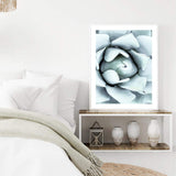 White Succulent-The Paper Tree-botanical,cacti,cactus,hamptons,neutral,portrait,premium art print,spider,succulent,wall art,Wall_Art,Wall_Art_Prints,web,white
