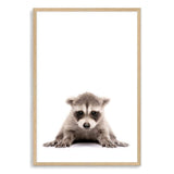 Baby Raccoon-The Paper Tree-animal,Artwork,BABY,BABY ANIMAL,BABY RACCOON,KIDS DECOR,kids room,kids wall art,nursery,NURSERY DECOR,portrait,premium art print,RACCOON,wall art,Wall_Art,Wall_Art_Prints