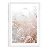 Golden Grass-The Paper Tree-beach,boho,botanical,Coastal,grass,hamptons,leaf,leaves,Natural,nature,neutral,pampas grass,portrait,premium art print,reeds,tall grass,wall art,Wall_Art