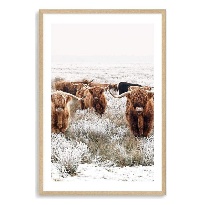 Highland Cattle Herd-The Paper Tree-Artwork,bohemian,boho,CATTLE,framed,framed print,herd,highland bull,highland cattle,highland cow,landscape,nature,premium art print,TAN,wall art,Wall_Art,Wall_Art_Prints