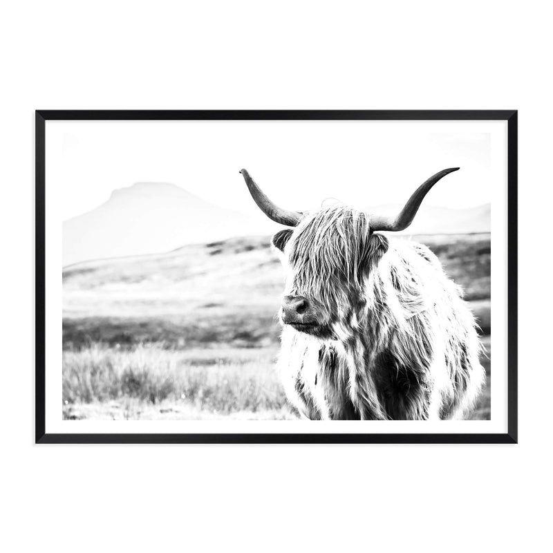 Hamish The Highland Cow II-The Paper Tree-black & white,BLACK AND WHITE,bull,cattle,cow,highland,highland bull,highland cattle,highland cow,landscape,monochrome,nature,premium art print,wall art,Wall_Art,Wall_Art_Prints