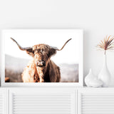 Harrison The Highland Cow-The Paper Tree-animal,bull,cattle,cow,harrison,highland bull,highland cattle,highland cow,landscape,nature,orange,premium art print,TAN,wall art,Wall_Art,Wall_Art_Prints
