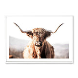 Harrison The Highland Cow-The Paper Tree-animal,bull,cattle,cow,harrison,highland bull,highland cattle,highland cow,landscape,nature,orange,premium art print,TAN,wall art,Wall_Art,Wall_Art_Prints
