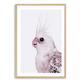 Coco The Cockatiel-The Paper Tree-Artwork,BIRD,Birds,blue bird,blue parrot,budgerigar,budgie,cockatiel,cockatiels,cockatoo,colourful Bird,hamptons,neutral,painted bird,parrot,parrots,portait,premium art print,wall art,Wall_Art,Wall_Art_Prints