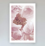 Set of 2 - Dusty Pink Peonies  & No.2-The Paper Tree-Artwork,coastal,dusty pink,Floral,flower,gift,peonies,peonies wall print,pink,portrait,premium art print,wall art,Wall_Art,Wall_Art_Prints