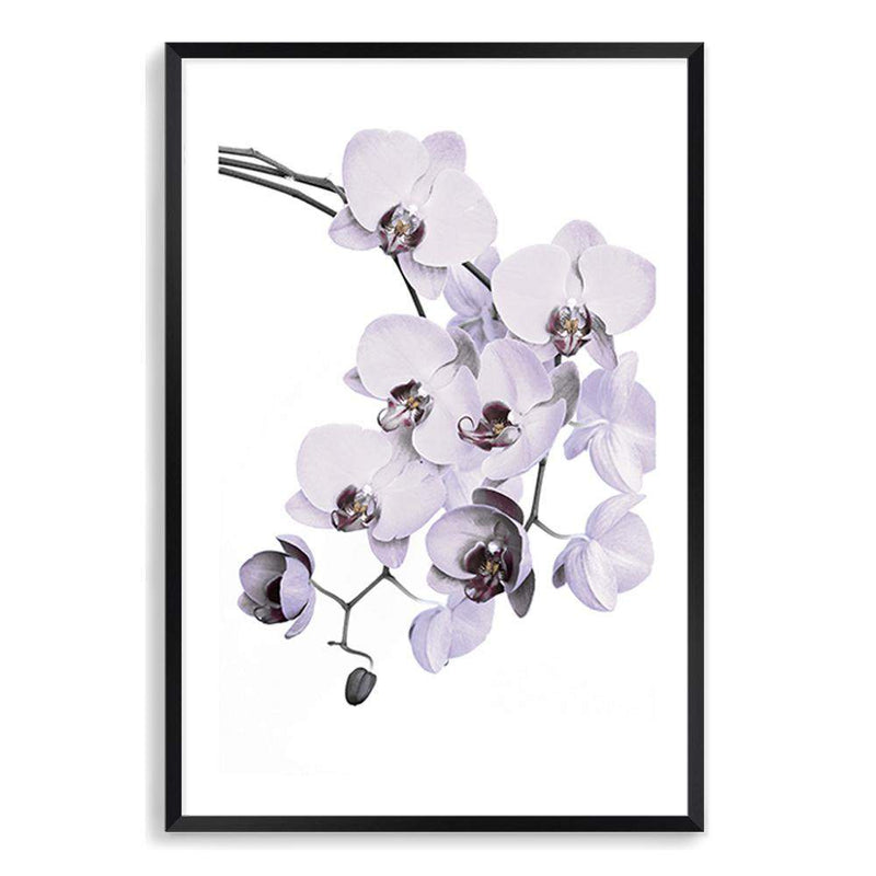 White Orchid Floral-The Paper Tree-floral,flower,flowers,hamptons,neutral,orchid,orchid flower,painted,portrait,premium art print,wall art,Wall_Art,Wall_Art_Prints,WHITE,white flower,white flowers,white orchid