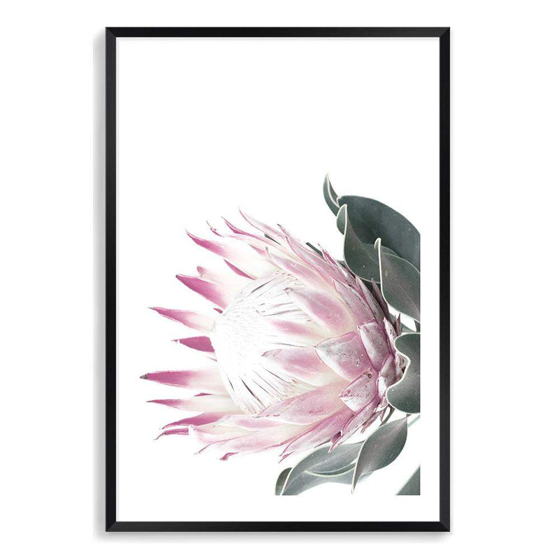 Dusty Pink Protea-The Paper Tree-dusty pink,floral,floral artwork,flower,flowers,green,pink,pink flower,pink protea,portrait,protea,protea art,protea artwork,protea flower,protea flowers,wall art,Wall_Art,Wall_Art_Prints