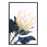 Yellow Protea II-The Paper Tree-floral,flower,flowers,portrait,premium art print,protea,protea flower,protea flowers,wall art,Wall_Art,Wall_Art_Prints,yellow,yellow flower