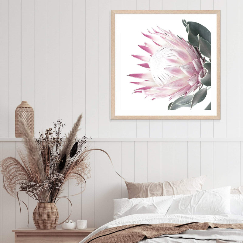 Dusty Pink Protea Square-The Paper Tree-dusty pink,floral,floral artwork,flower,flowers,green,pink,pink flower,pink protea,portrait,protea,protea art,protea artwork,protea flower,protea flowers,square,wall art,Wall_Art,Wall_Art_Prints
