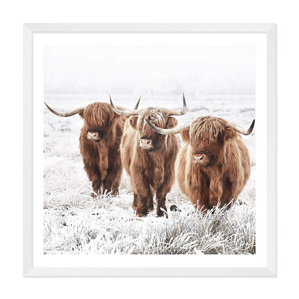 Highland Cattle | Square-The Paper Tree-animal,Art Print,art prints,Artwork,boho,framed,highland,highland bull,highland cattle,highland cow,neutral,premium art print,square,tan,wall art,Wall_Art,Wall_Art_Prints
