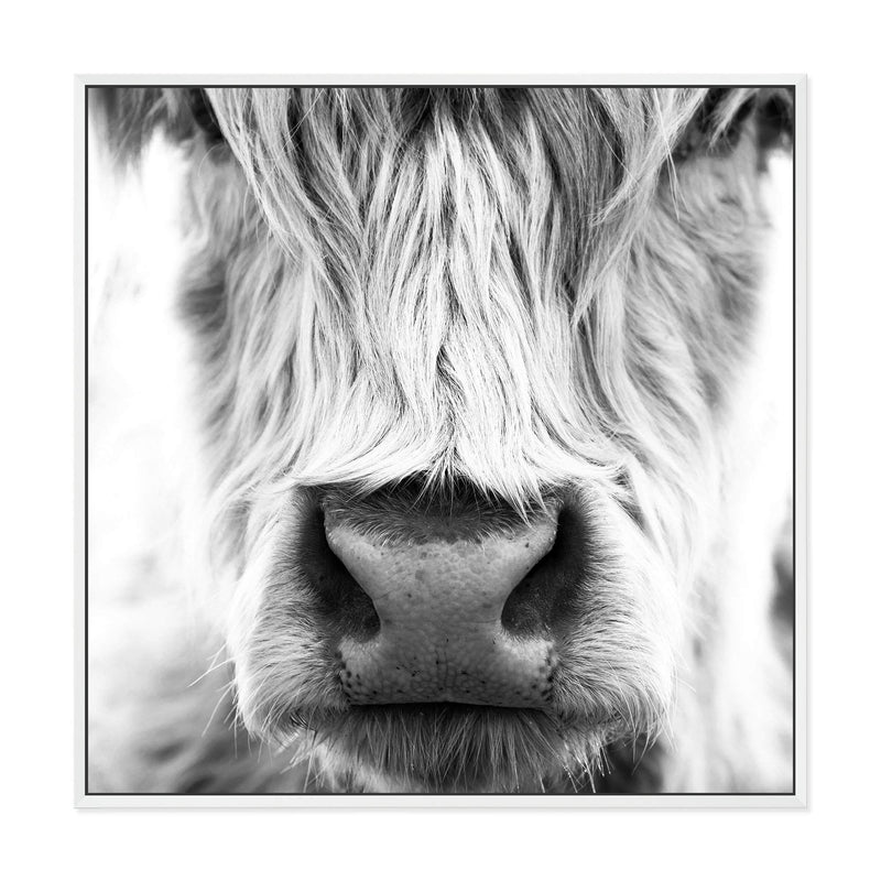 Highland Cow Portrait II | Square-The Paper Tree-animal,Art Print,art prints,Artwork,black & white,boho,framed,highland,highland bull,highland cattle,highland cow,monochrome,premium art print,square,wall art,Wall_Art,Wall_Art_Prints