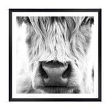Highland Cow Portrait II | Square-The Paper Tree-animal,Art Print,art prints,Artwork,black & white,boho,framed,highland,highland bull,highland cattle,highland cow,monochrome,premium art print,square,wall art,Wall_Art,Wall_Art_Prints