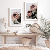 Set of 2 - Peach Protea Floral & No.2-The Paper Tree-Artwork,boho,coastal,Floral,flower,gift,peach,portrait,premium art print,protea,wall art,Wall_Art,Wall_Art_Prints