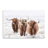 Highland Cows-The Paper Tree-Artwork,bohemian,boho,CATTLE,framed,framed print,herd,highland bull,highland cattle,highland cow,landscape,nature,premium art print,TAN,wall art,Wall_Art,Wall_Art_Prints