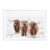 Highland Cows-The Paper Tree-Artwork,bohemian,boho,CATTLE,framed,framed print,herd,highland bull,highland cattle,highland cow,landscape,nature,premium art print,TAN,wall art,Wall_Art,Wall_Art_Prints