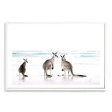 Kangaroos On The Beach-The Paper Tree-animals,Art_Prints,Artwork,australian,Australian animals,australian art,australian landscape,BEACH,boho,coastal,COASTAL ART,Designer,hamptons,kangaroo,kangaroo's,landscape,nature,neutral,premium art print,travel,wall art,Wall_Art,Wall_Art_Prints,white