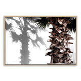 Shaded Palm-The Paper Tree-beach,boho,coastal,hamptons,landscape,minimalist,muted tone,neutral,palm,palm tree,palms,premium art print,scandi,wall art,Wall_Art,Wall_Art_Prints