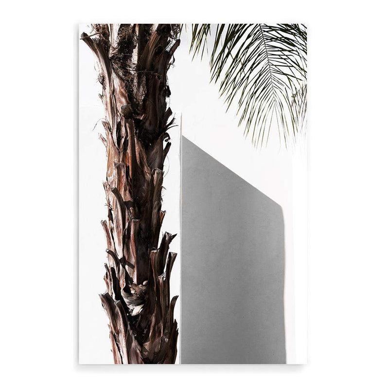 Shaded Palm Tree-The Paper Tree-boho,hamptons,minimalist,neutral,palm,palm frond,palm tree,portrait,premium art print,scandi,tree,wall art,Wall_Art,Wall_Art_Prints,white