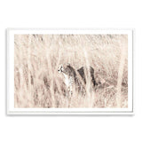 Cheetah In The Grass-The Paper Tree-africa,african,animal,boho,cat,cheetah,grass,landscape,nature,neutral,premium art print,tall grass,wall art,Wall_Art,Wall_Art_Prints