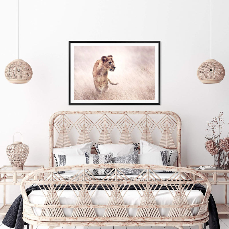 Lion On The Prowl-The Paper Tree-Africa,African,Animal,boho,cat,hunt,Hunting,landscape,leo,lion,nature,neutral,premium art print,TAN,wall art,Wall_Art,Wall_Art_Prints