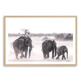 Elephants-The Paper Tree-africa,african,animal,boho,elephant,elephants,herd,landscape,nature,neutral,premium art print,wall art,Wall_Art,Wall_Art_Prints