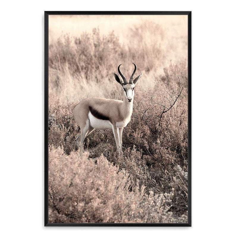 Grazing Springbok-The Paper Tree-africa,african,animal,antelope,nature,neutral,portrait,premium art print,springbok,TAN,wall art,Wall_Art,Wall_Art_Prints